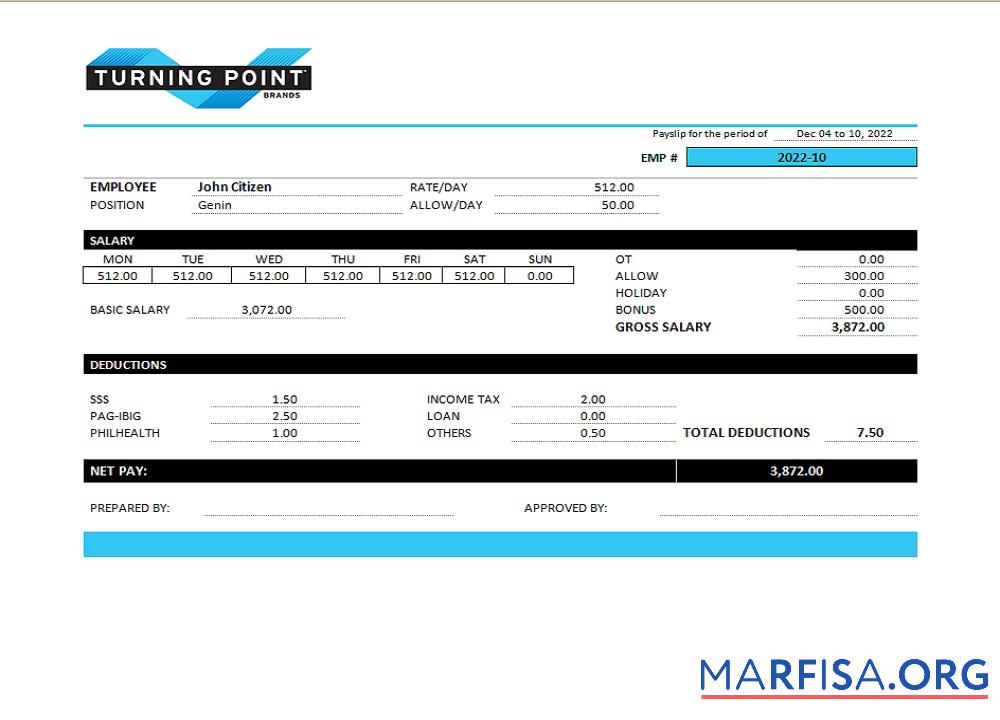 Blank USA Turning Point Brands tobacco company pay stub download for verification